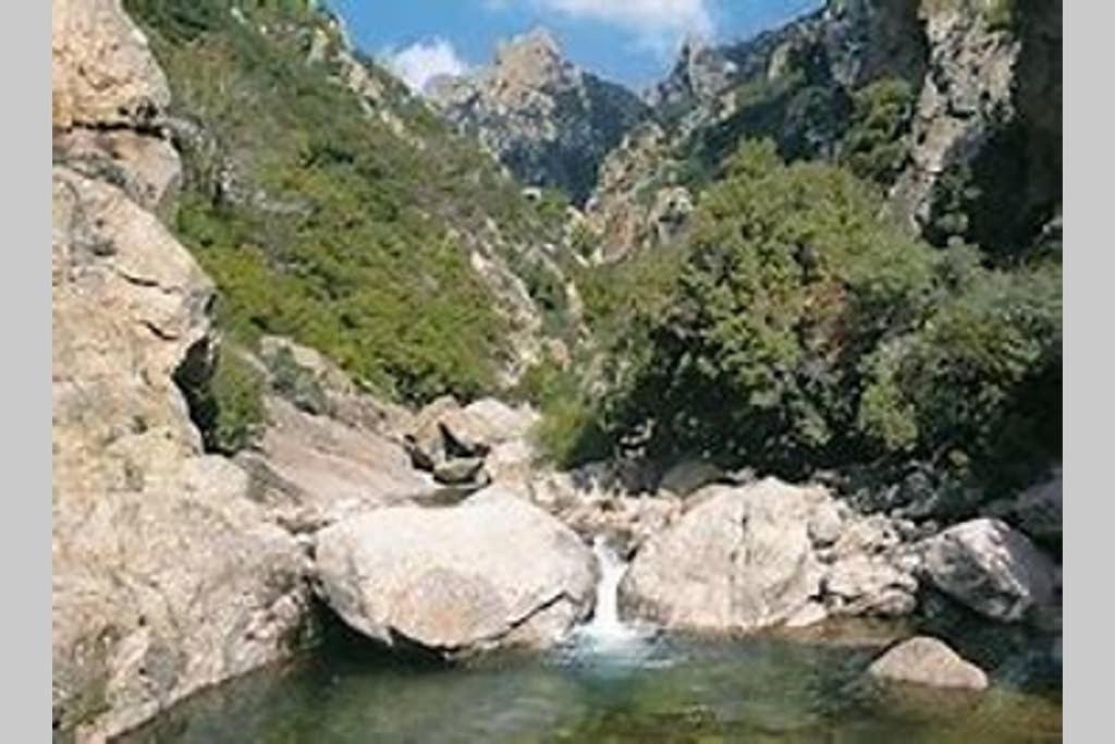 Apartamento Gare-capitole Narbona